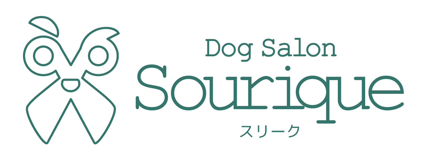 【テスト】Dog Salon Sourique